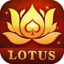 teen patti johny download